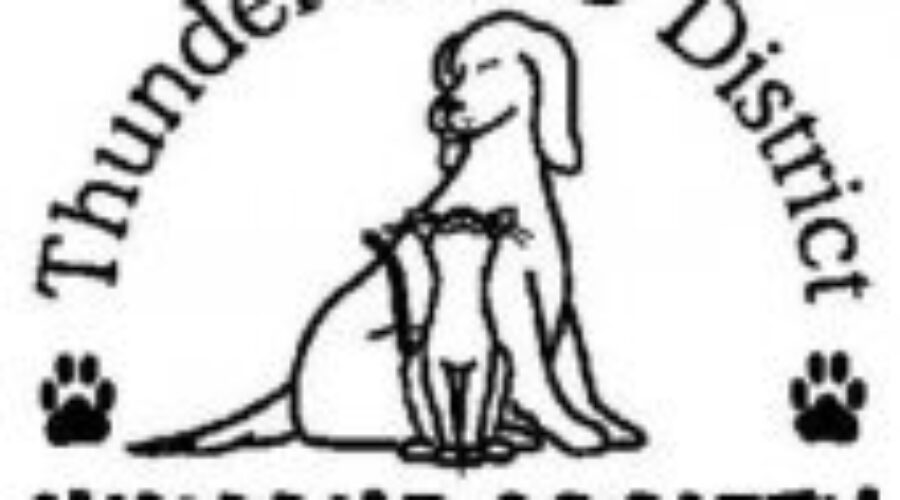 A Sick Case of Animal Cruelty In Thunder Bay