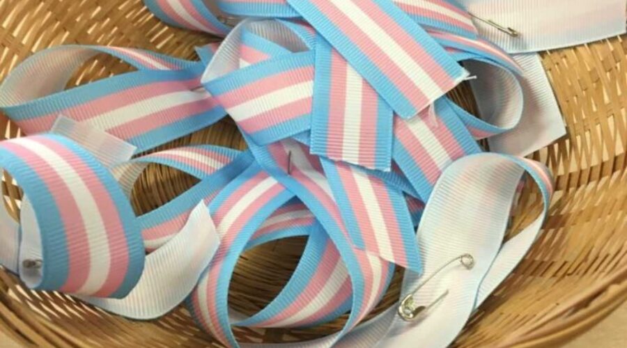 Local Group Raising Awareness Of Transgender Day Of Visibility