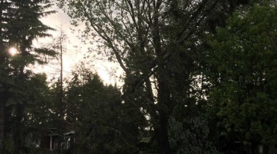 Wednesday Storm Brings Heavy Wind, Rain And Hail