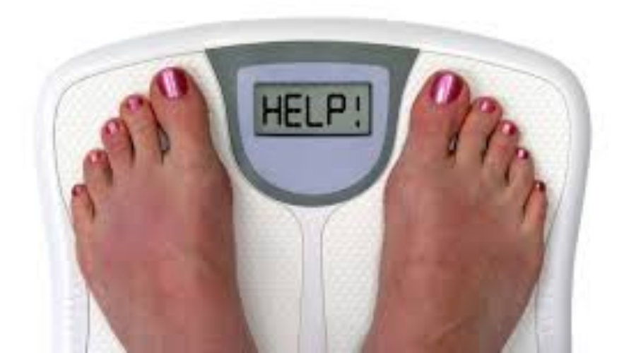 weightloss Weight Loss Study