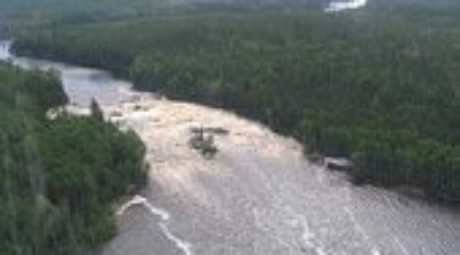 whitefeatherforest Developing Forestry Sector Near Pikangikum