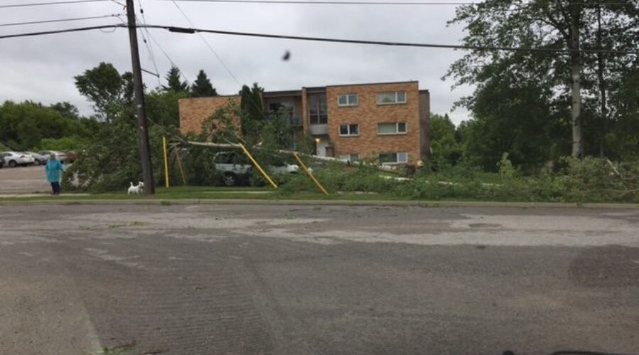 Clean-Up Following Wind Storm In Dryden