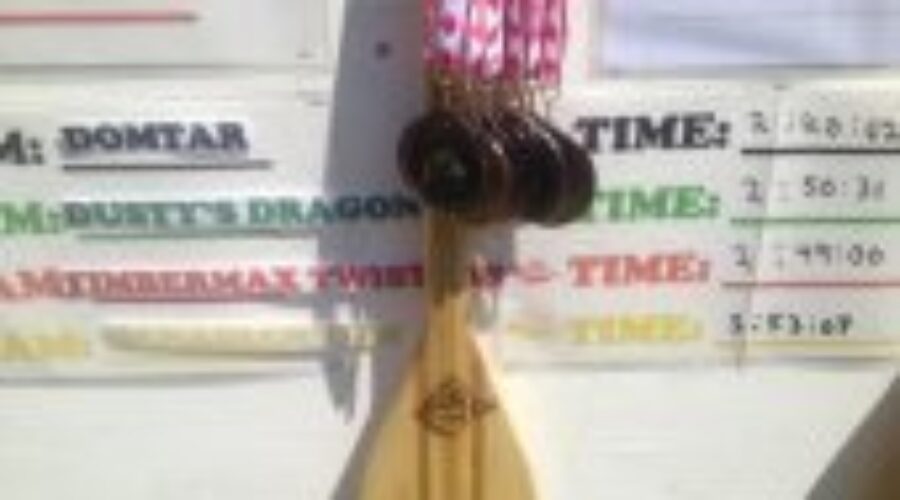 Domtar And Still Me Program Big Winners At Races