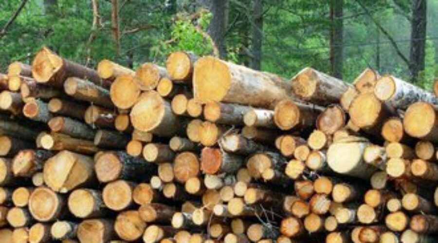 CKDR Poll Predicts Softwood Lumber Agreement Will Not Be Soon Settled