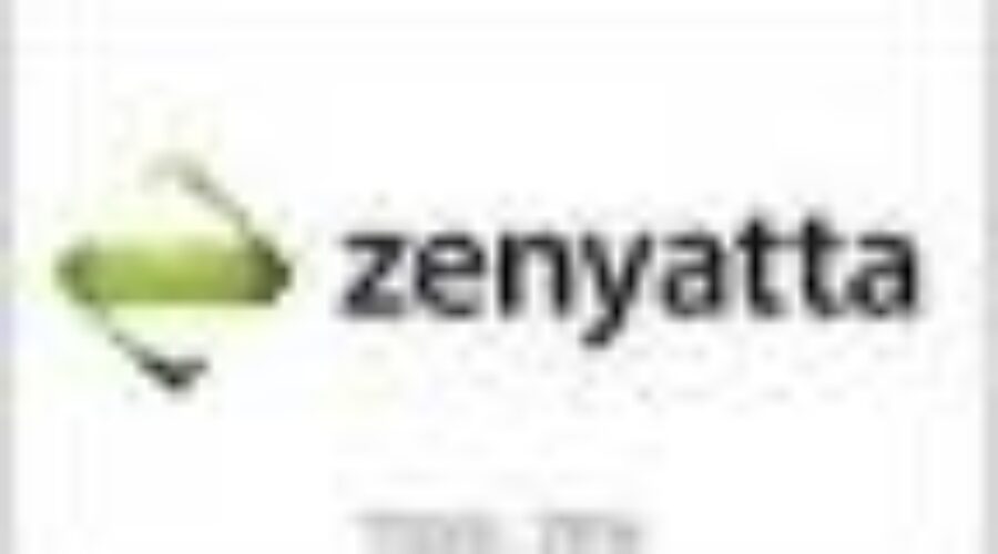 zenyatta_0 Funding For Junior Mining Company