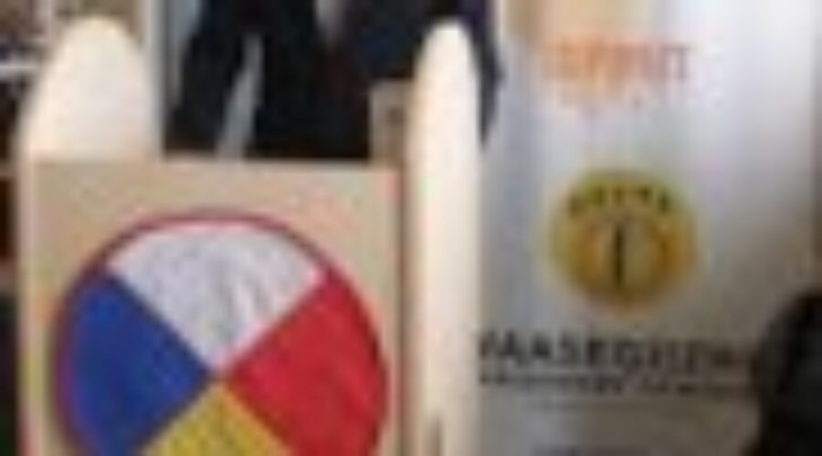 Provincial Funding For Aboriginal Health Centers