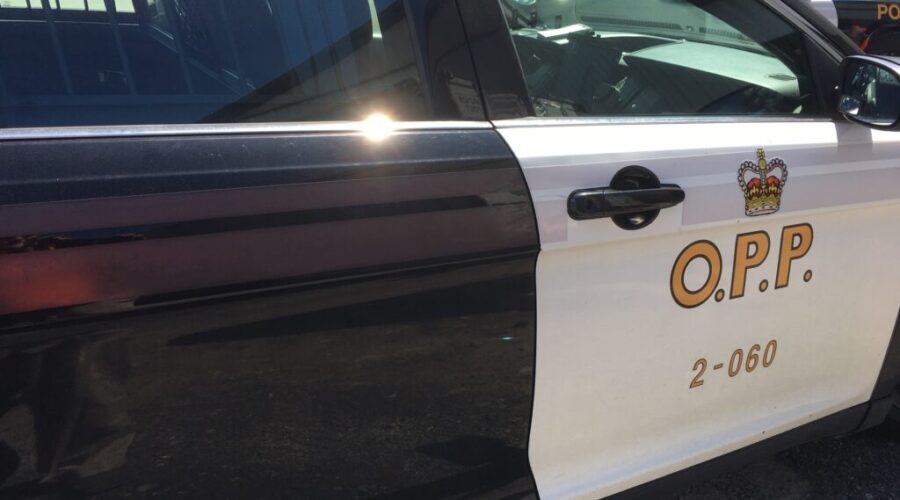 Dryden drug bust nets 2 arrests