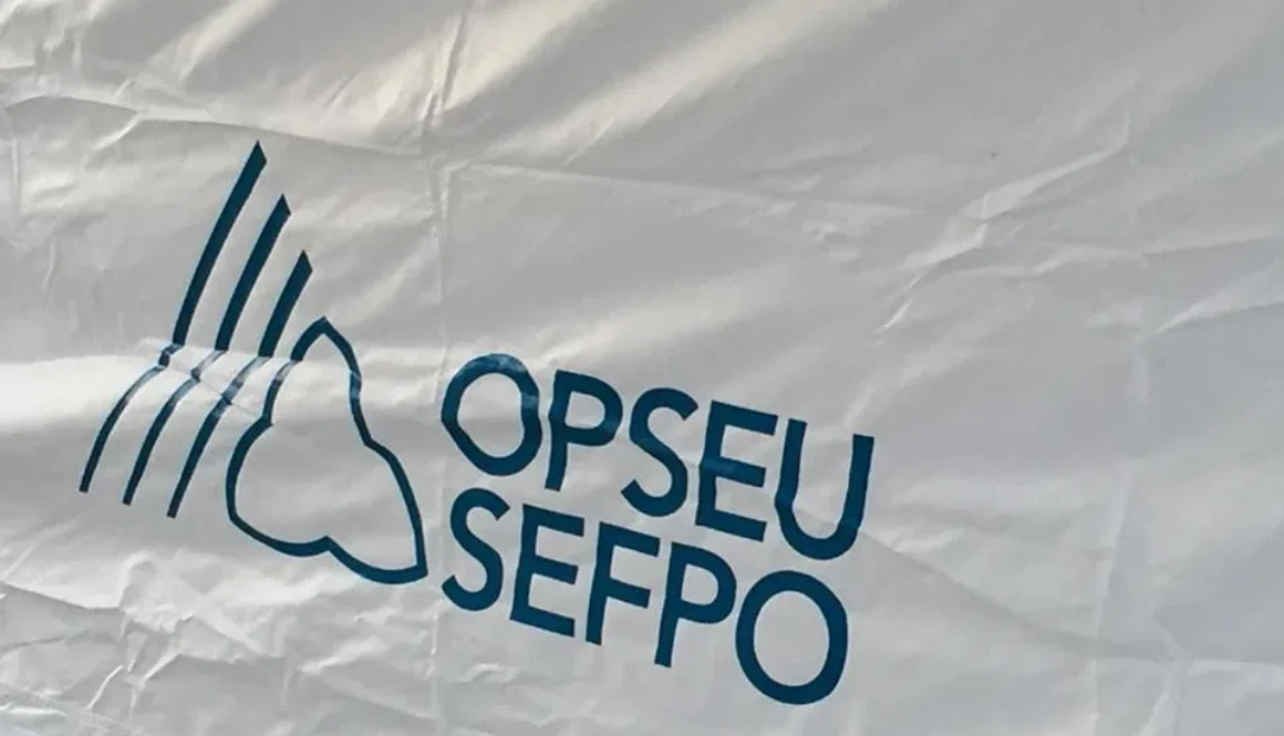 OPSEU logo on flag