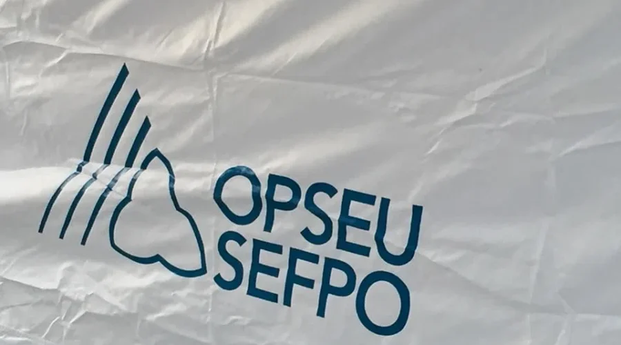 OPSEU logo on flag Hundreds of Thunder Bay long-term care workers strike for better wages