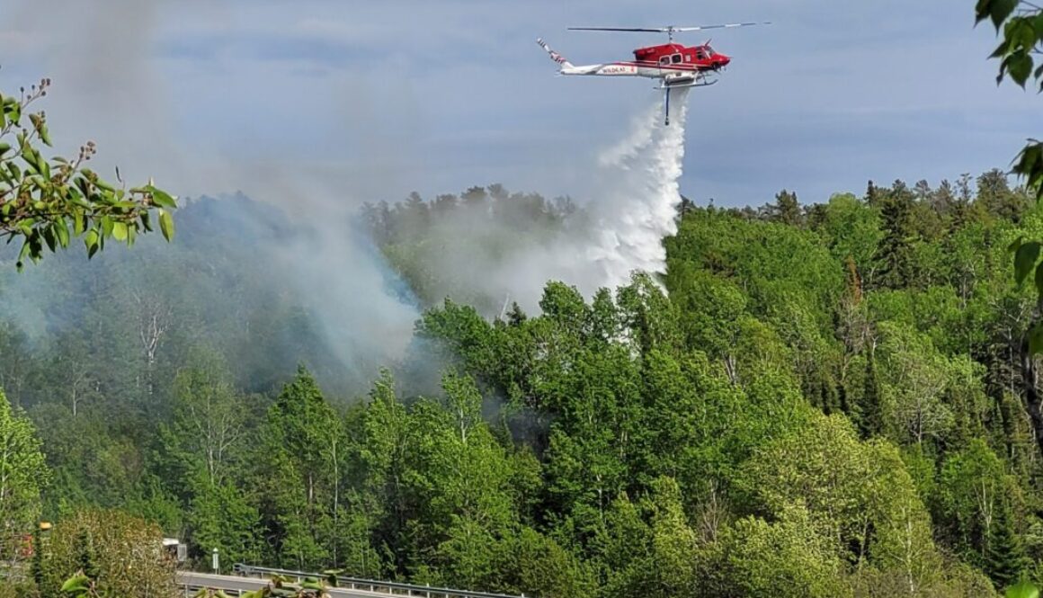 redditt forest fire