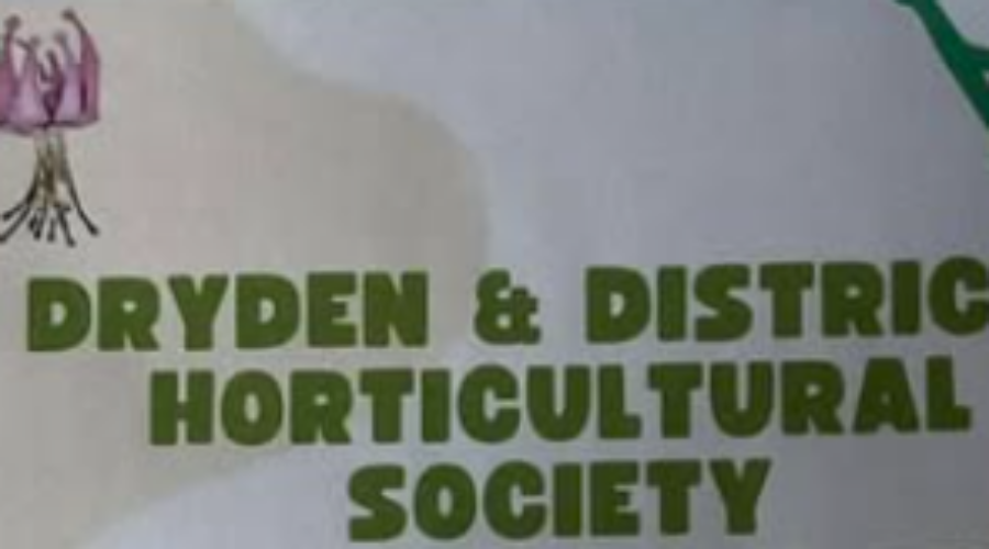 dryden horticultural society Dryden Horticultural Society suggests changes to city bylaws