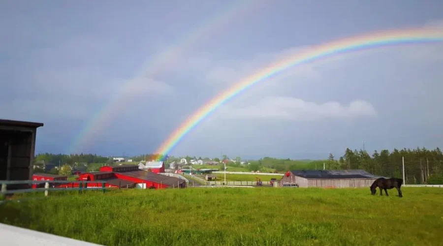 hatfield farm Ottawa launches first-ever National Food Security Strategy